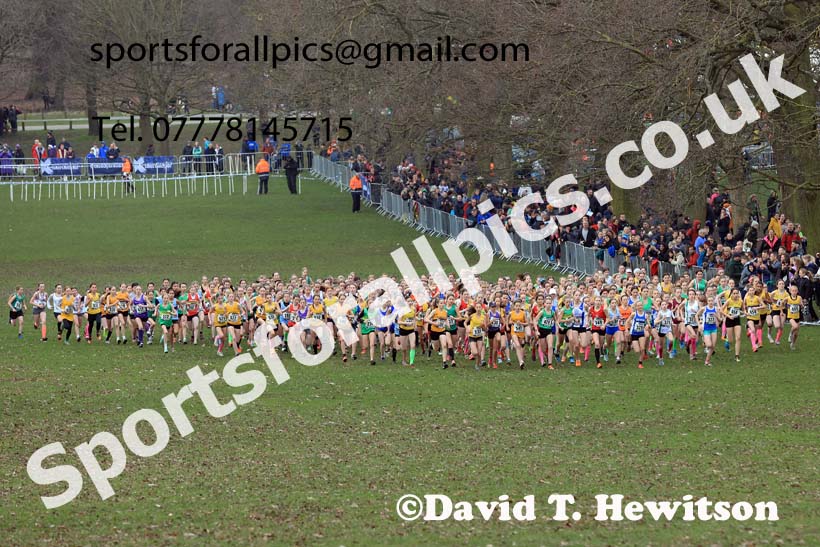 Girls Under-13s, 2024 CAU Inter Counties Cross Country Champs., Wollaton Park, Nottingham. Photo: David T. Hewitson/Sports for All Pics